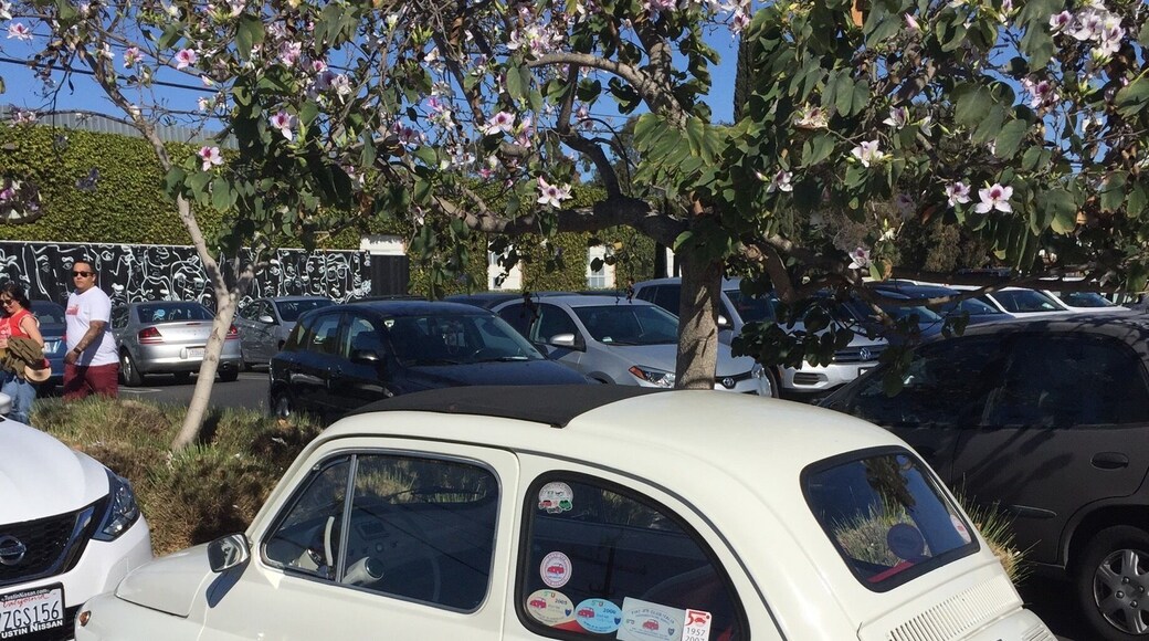 Great dining choices and shops.