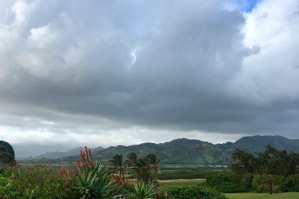 Walking along the Maha'ulepu Heritage Trail on Kauai, Hawaii. Park at Shipwrecks Beach and head east.