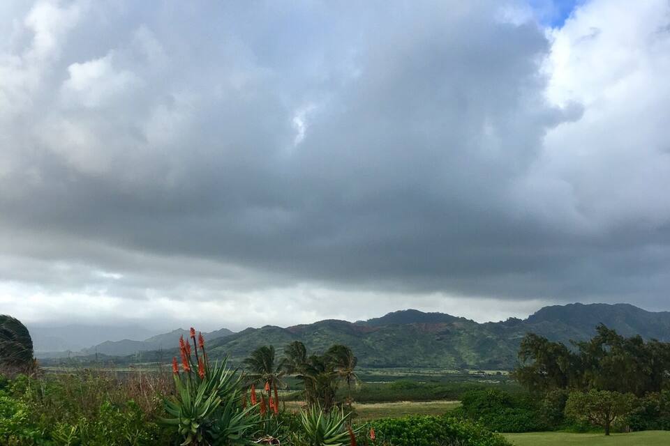 Un paisaje exuberante con un campo de golf, palmeras y montañas al fondo bajo un cielo nublado.
