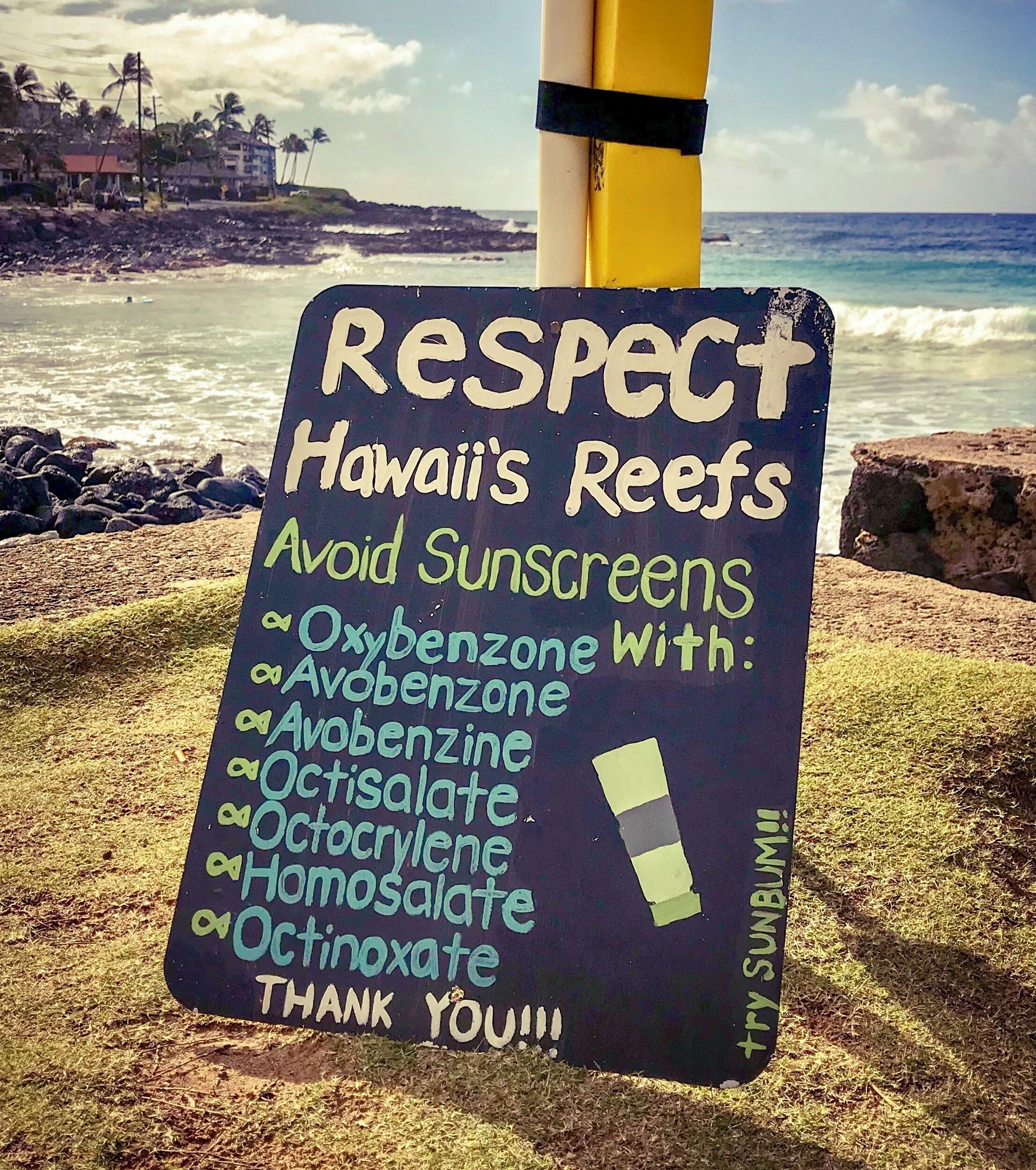 I honestly didn’t see enough of these signs around Kaua’i. Knowledge is power. We chose reef-friendly sunscreen for our trip; we helped save the reef and we didn’t get burned. Win-win! #TroverRT #kauai