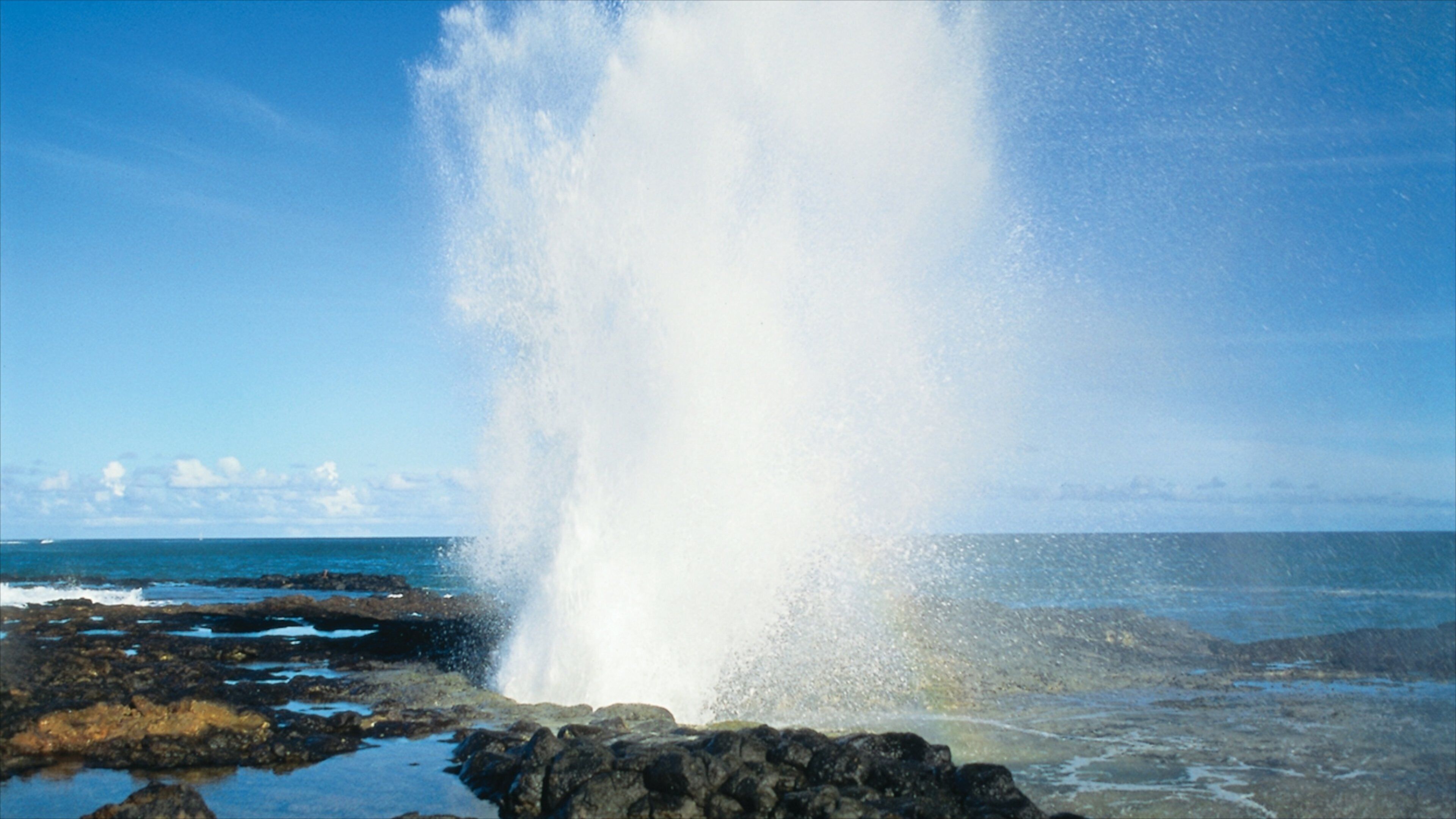 Koloa que incluye litoral rocoso y vistas de una costa