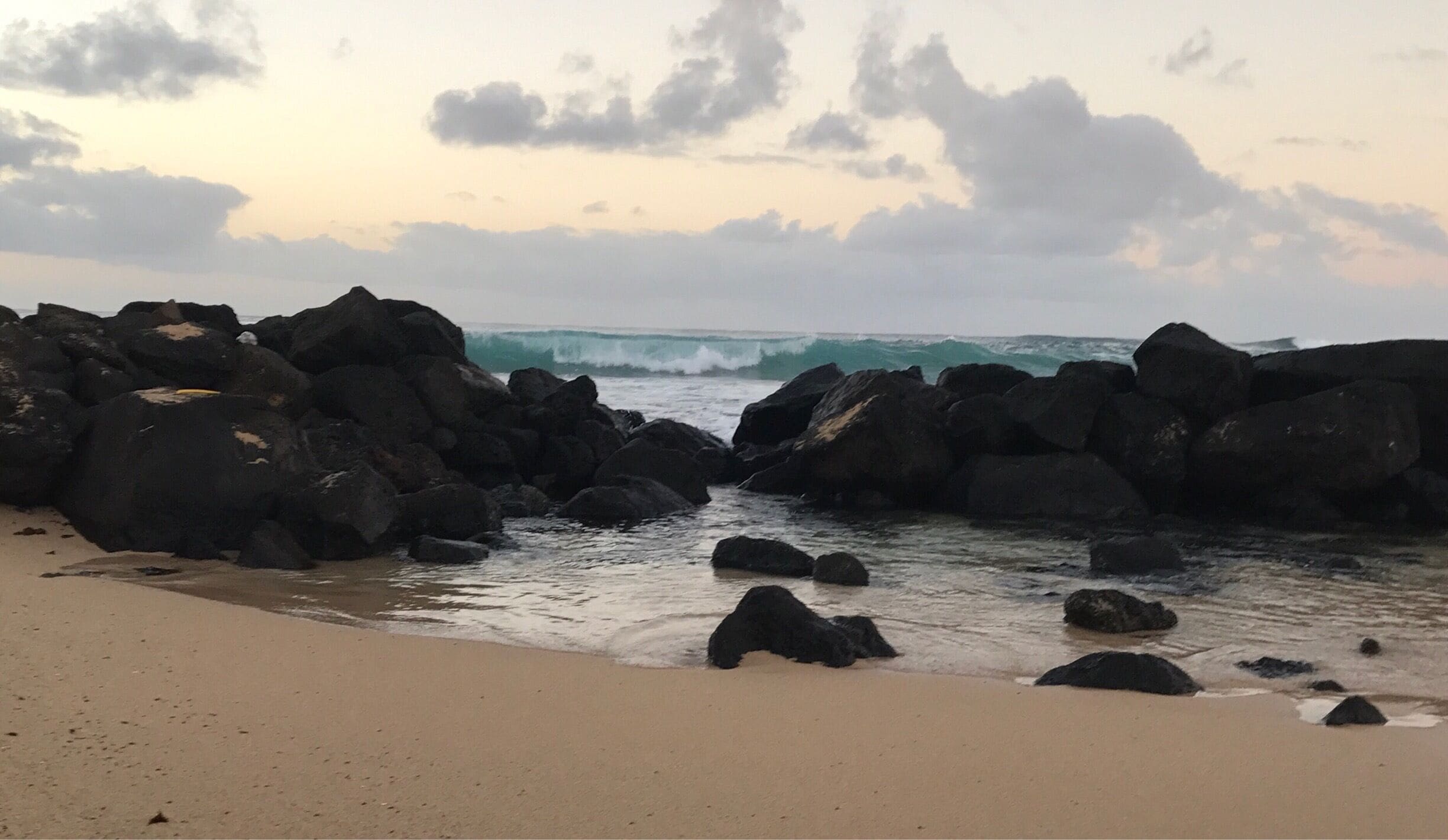 Great public beach.  Many turtles in the morning sun bathing on the beach.
