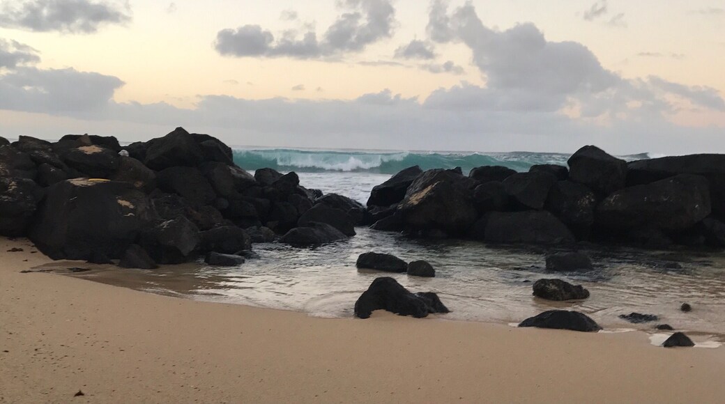 Great public beach. Many turtles in the morning sun bathing on the beach.