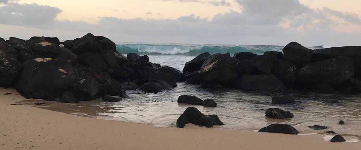 Great public beach. Many turtles in the morning sun bathing on the beach.