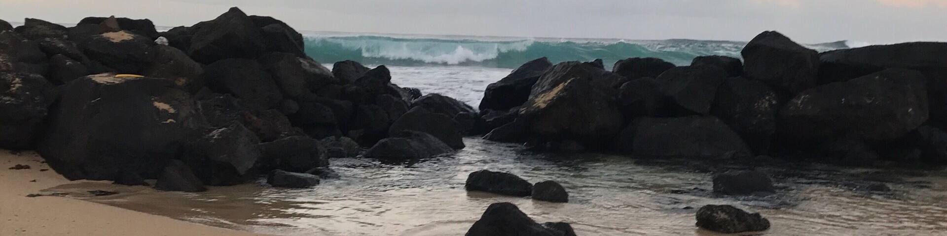 Great public beach. Many turtles in the morning sun bathing on the beach.