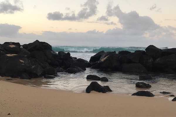 Great public beach. Many turtles in the morning sun bathing on the beach.