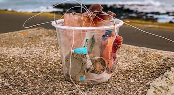 Find it, fill it @ Brennecke’s Beach, Kaua’i. Please, always leave it cleaner than you found it. #TroverRT #stoplittering #kauai