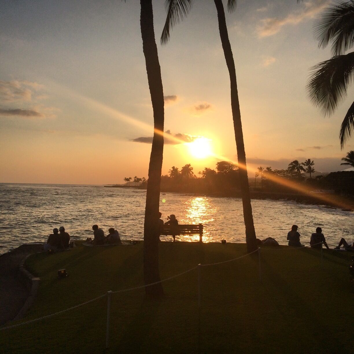 Un atardecer sobre una playa con palmeras y gente sentada en la orilla.