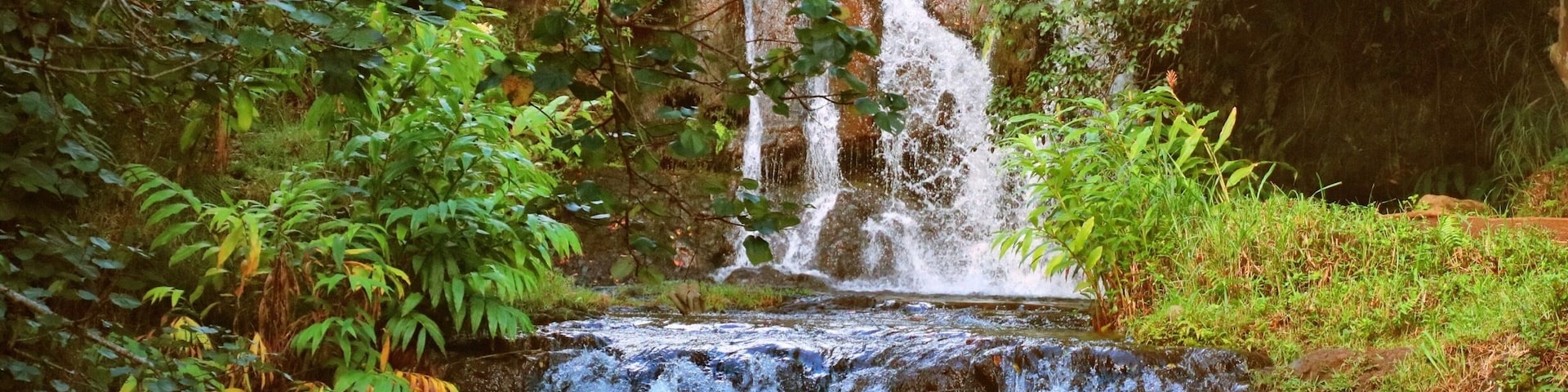 ATV Waterfall Tour - can swim here :)