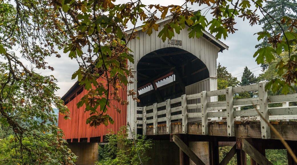 Currin Covered Bridge in Cottage Grove, Oregon, United States
