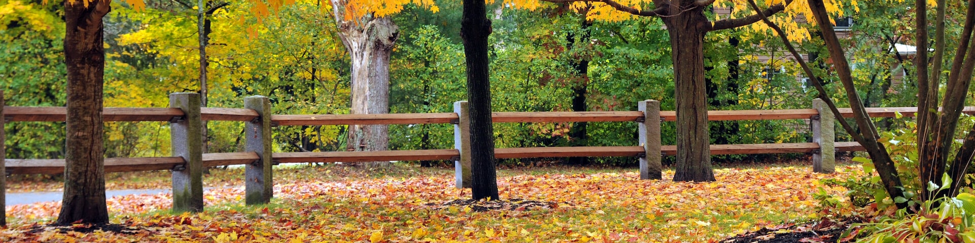 A park with trees displaying autumn foliage, a wooden fence, and a path covered with fallen leaves.