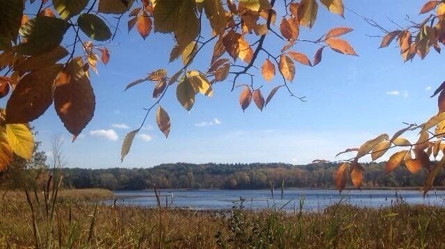 view from the trails at Mendon Ponds Park. 