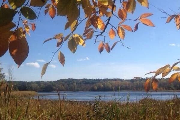 Un lac bordé d’un feuillage automnal et entouré d’une forêt lointaine.