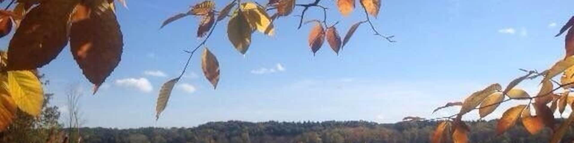 view from the trails at Mendon Ponds Park.