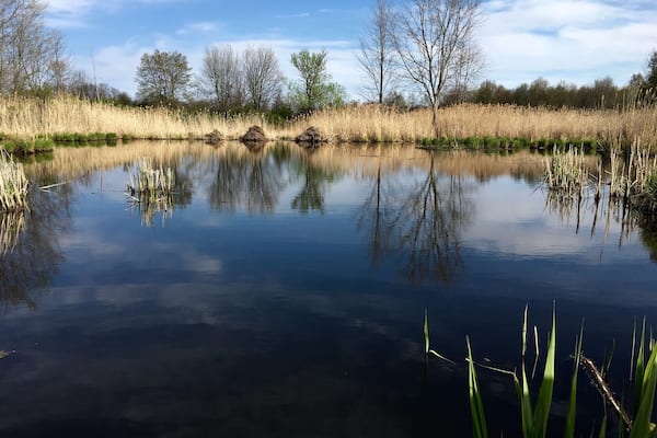 Great day for a walk