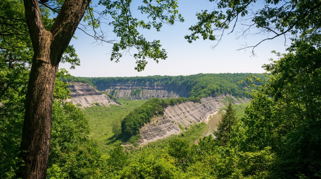 Letchworth State Park