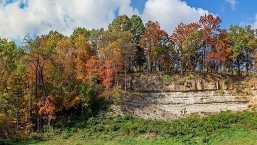 Panoramic landscape of a bluff topped with colorful Autumn trees along Highway 94 in St. Charles County near Augusta, Missouri