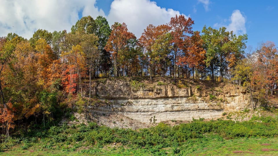A forested cliff with autumn foliage and a clear sky.