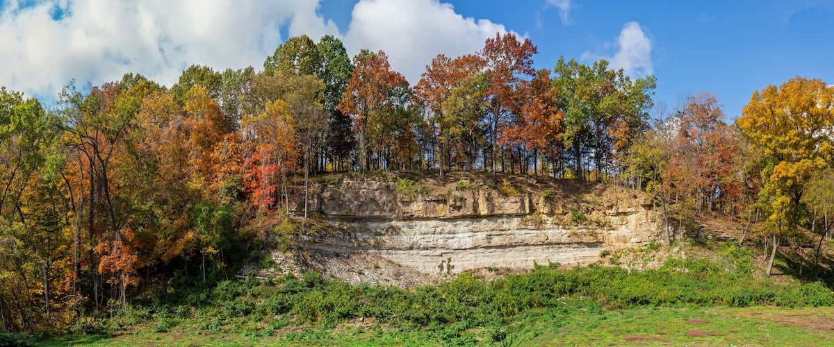 A forested cliff with autumn foliage and a clear sky.