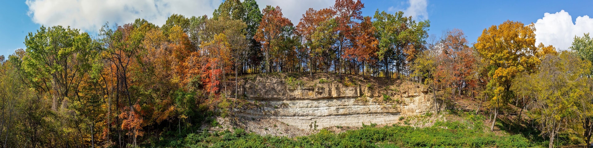 A forested cliff with autumn foliage and a clear sky.