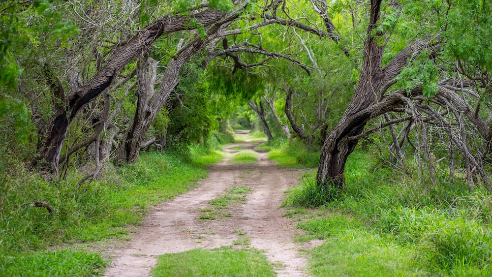 A well maintained recreational grounds in Estero Llano Grande State Park, Texas