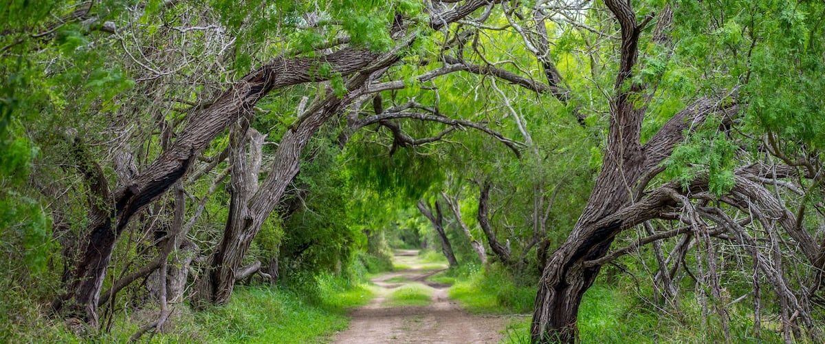 A well maintained recreational grounds in Estero Llano Grande State Park, Texas