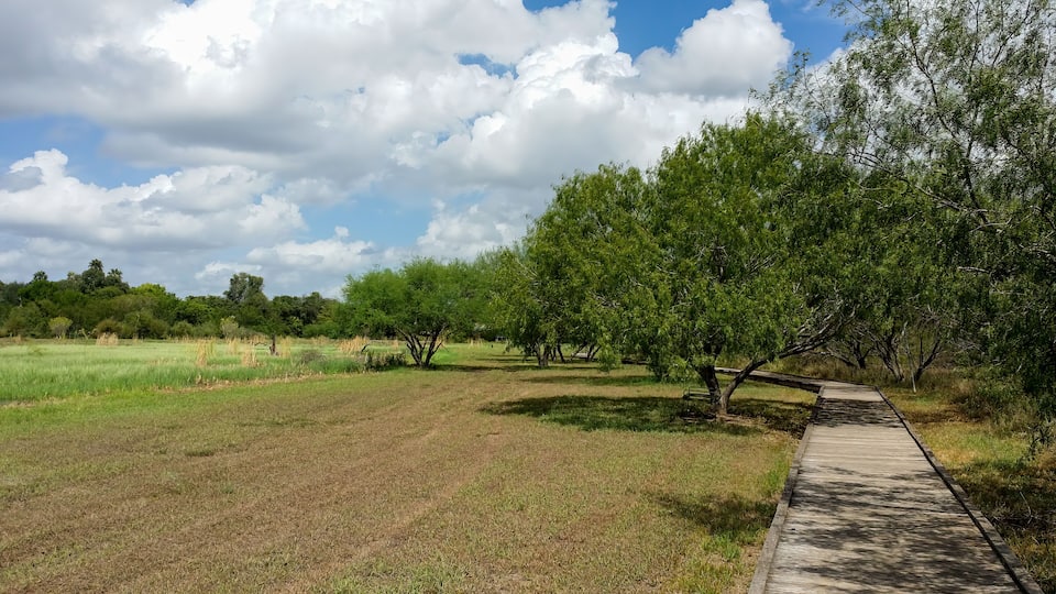 A park with a walking path, green grass, trees, and a cloudy sky.