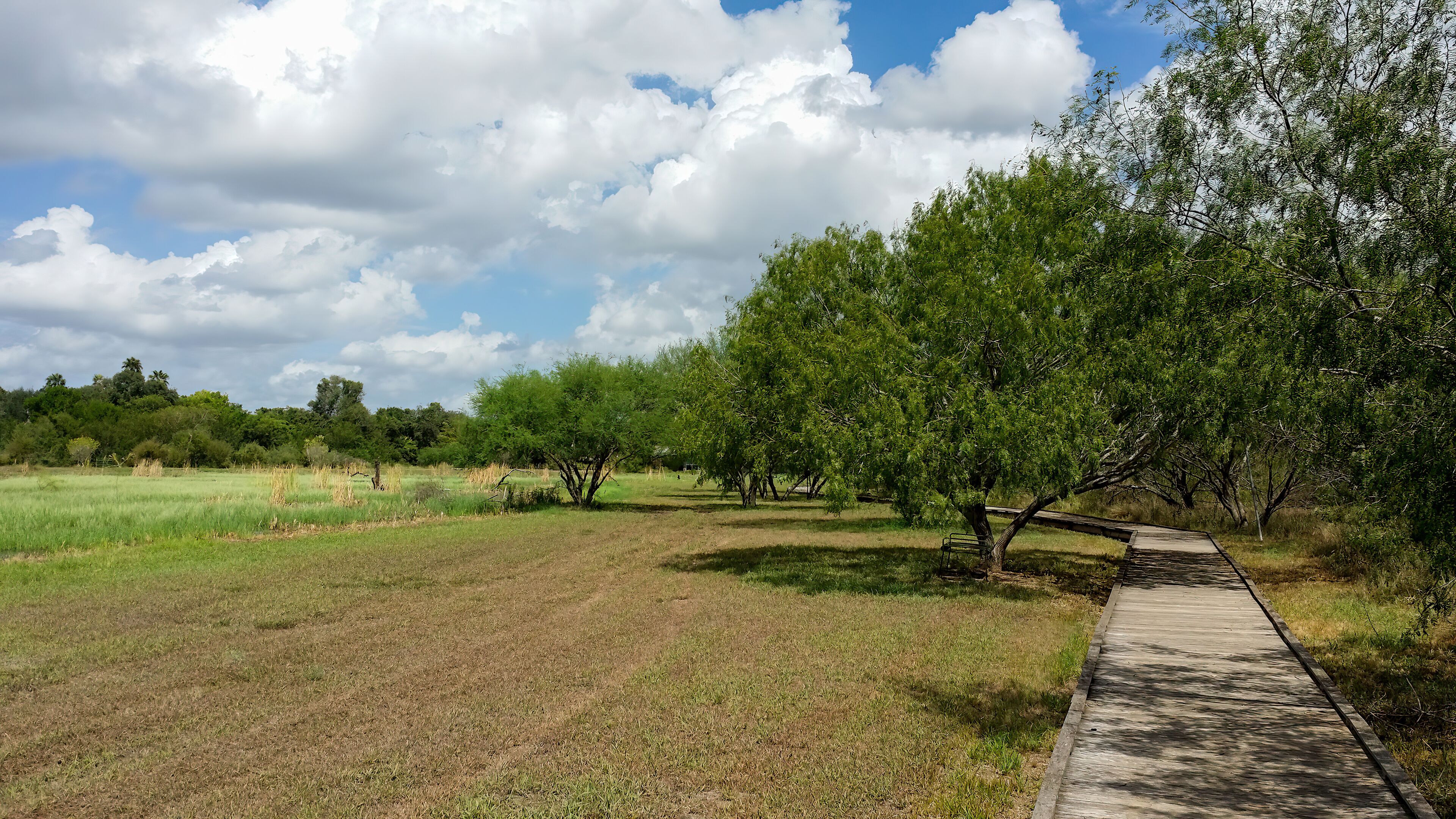 A park with a walking path, green grass, trees, and a cloudy sky.