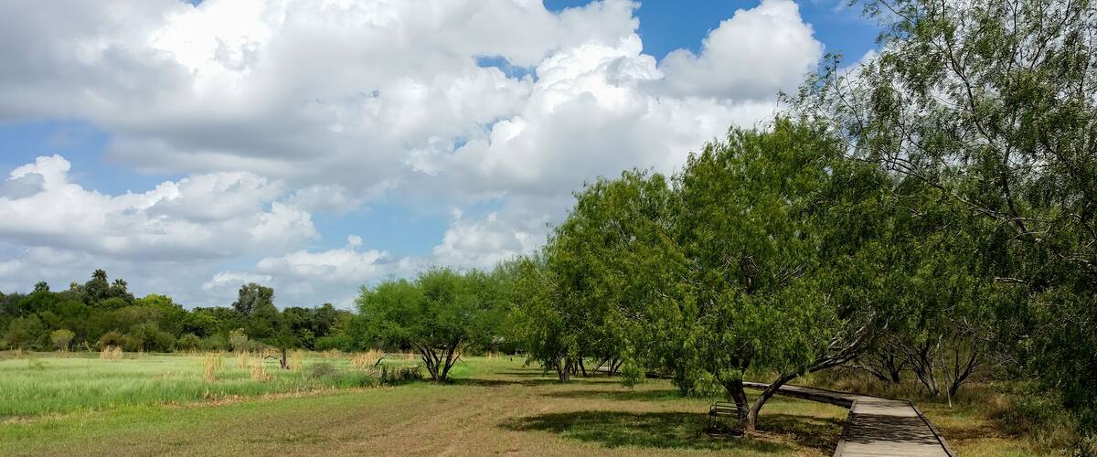 A park with a walking path, green grass, trees, and a cloudy sky.