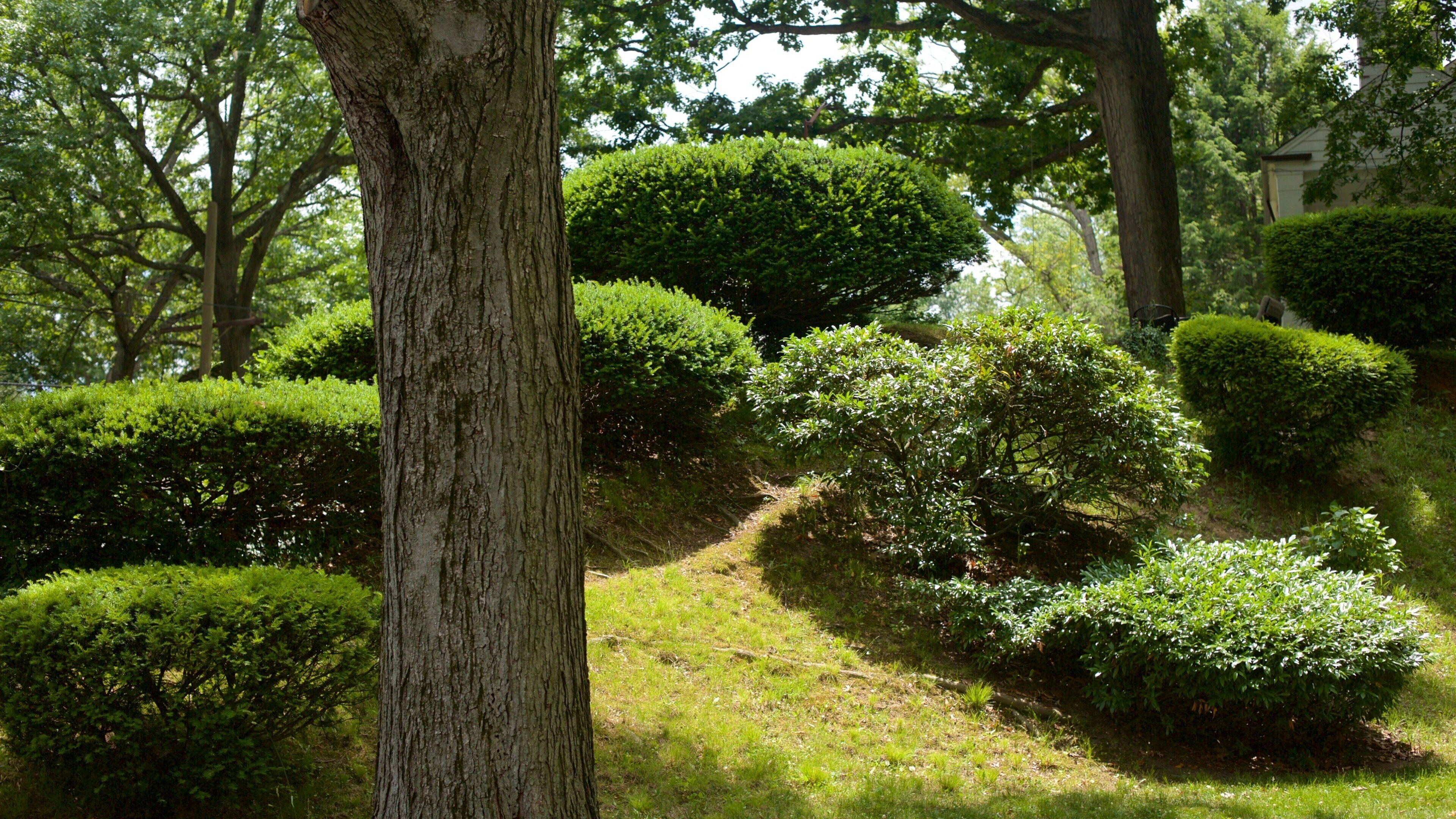 Barnaby Woods caratteristiche di giardino