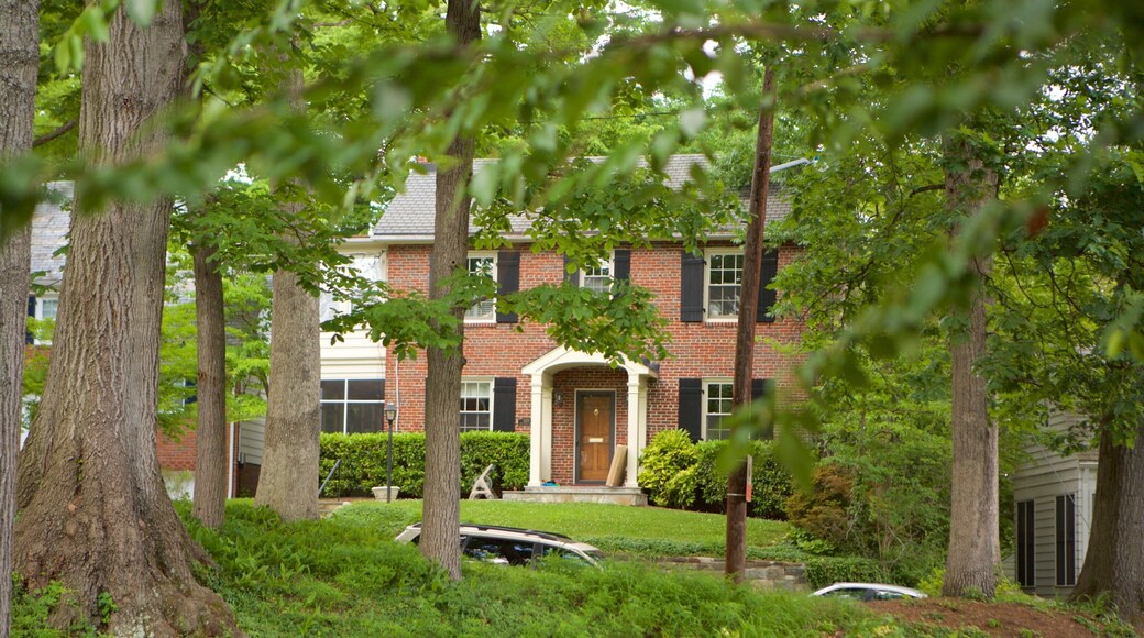 Barnaby Woods showing a garden and a house