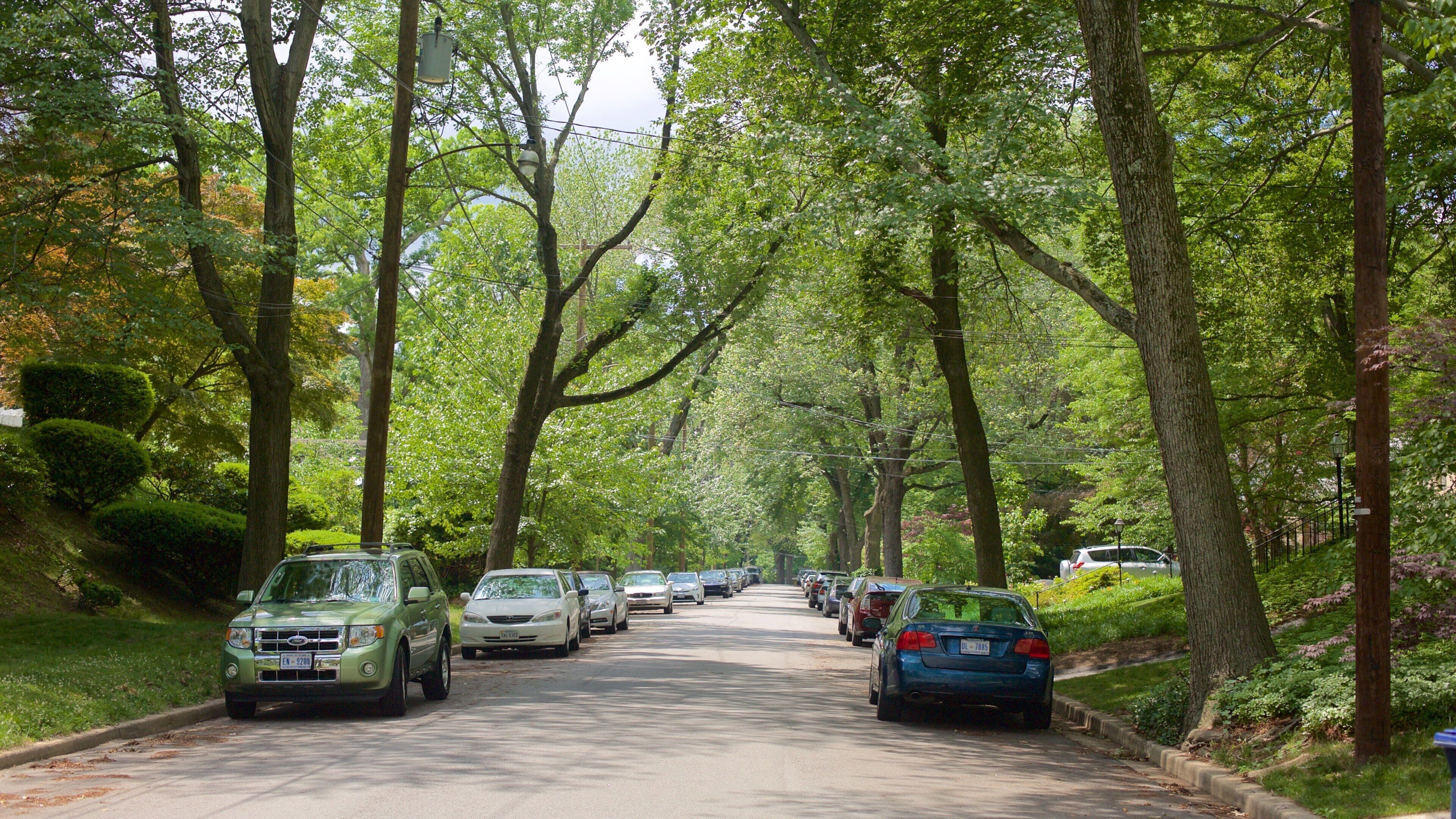 Barnaby Woods caratteristiche di strade e giardino