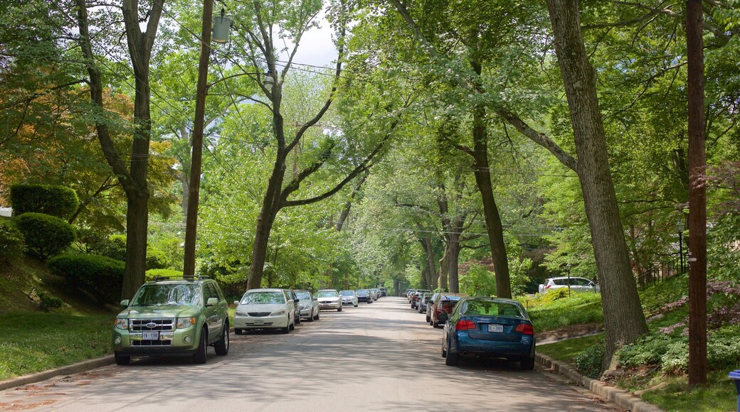 Barnaby Woods caratteristiche di strade e giardino