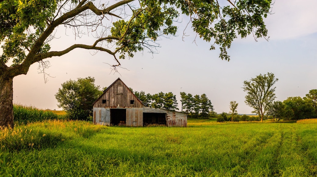 Illinois Steel Barn Panoramic Prairie