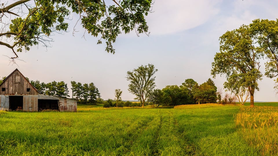A rustic barn in a lush green field with tall trees and a clear sky.