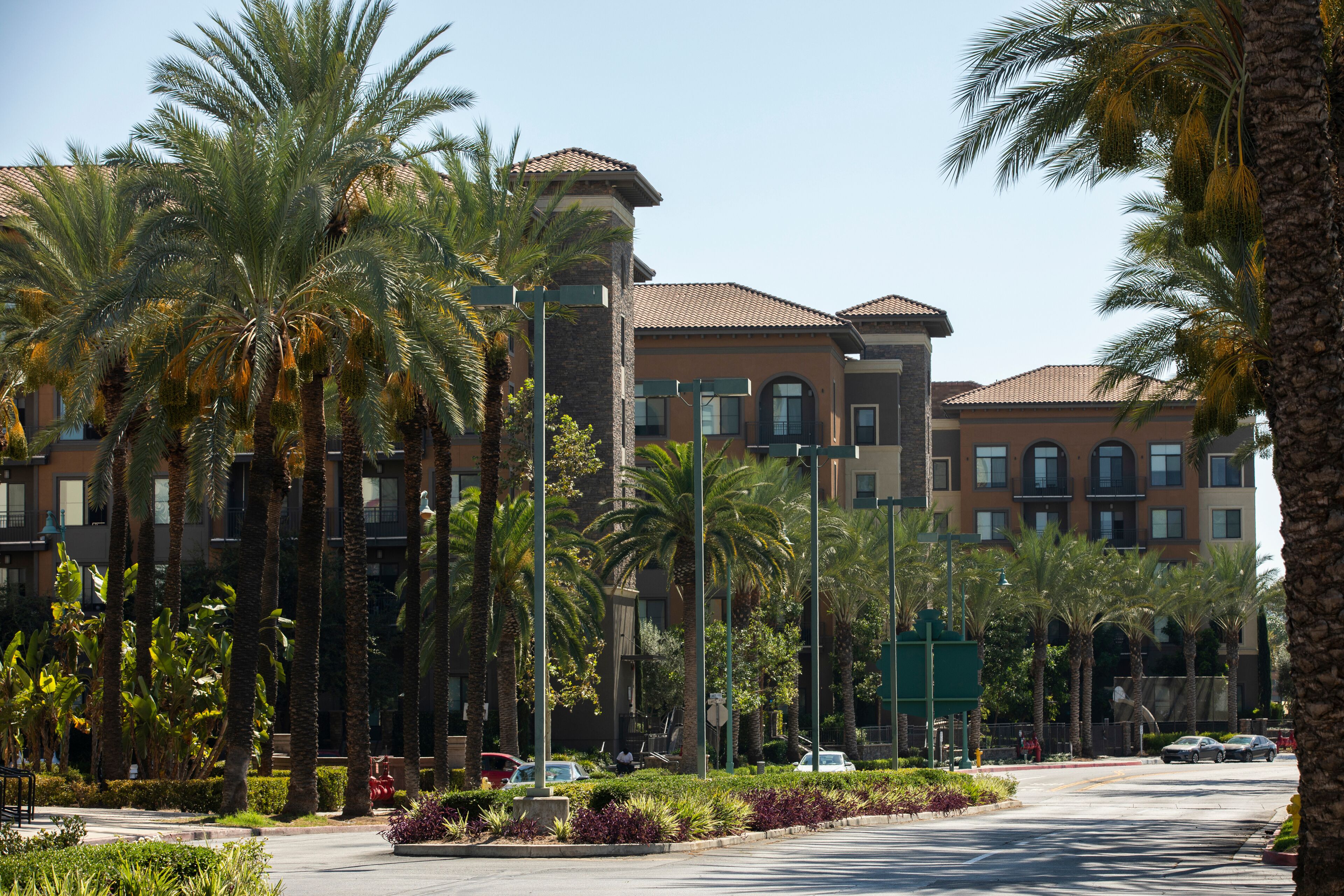 Afternoon palm framed view of buildings in downtown West Covina, California, USA.
