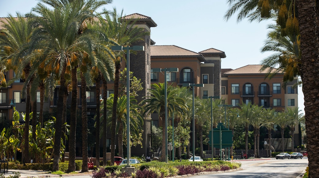 Afternoon palm framed view of buildings in downtown West Covina, California, USA.