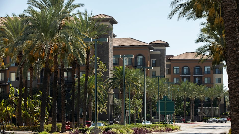 A street lined with palm trees and multi-story buildings with a clear sky.