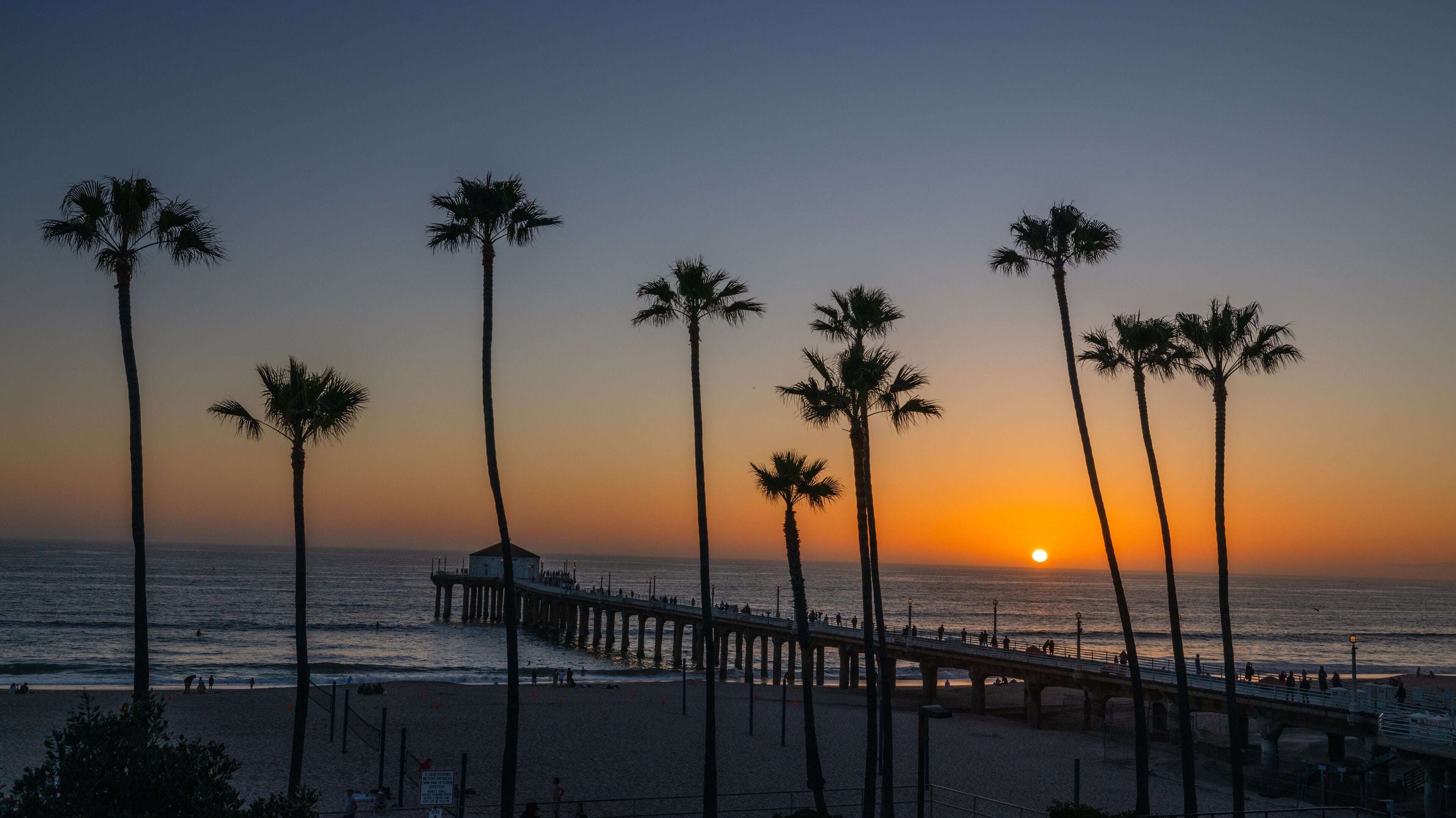 Palm trees and Pier on Manhattan Beach at sunset in California, Los Angeles, USA.