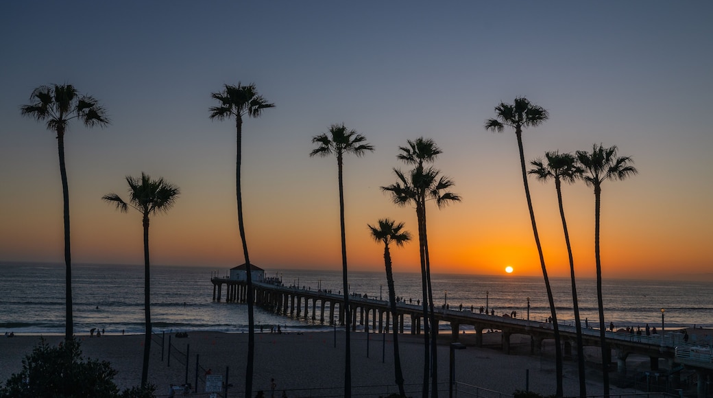 Palm trees and Pier on Manhattan Beach at sunset in California, Los Angeles, USA.