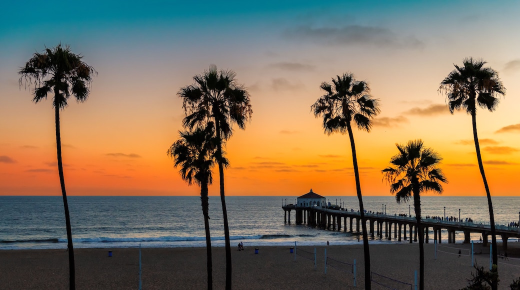 Sunset beach with palm trees in Manhattan Beach, California. Fashion travel and tropical beach concept.