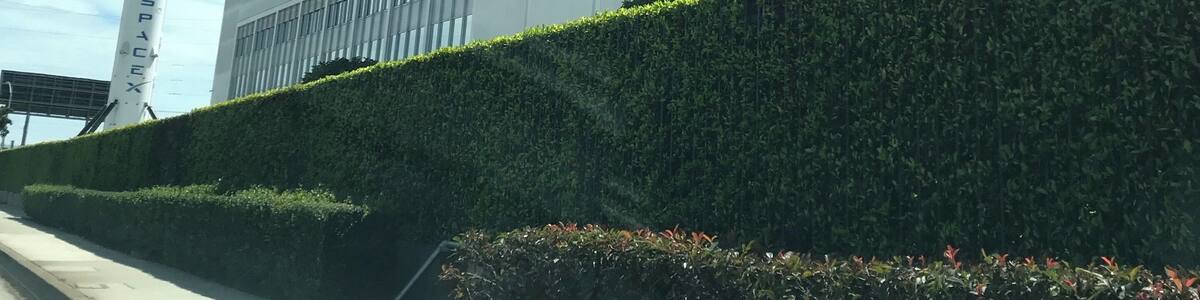 Mr. Musk’s playground.