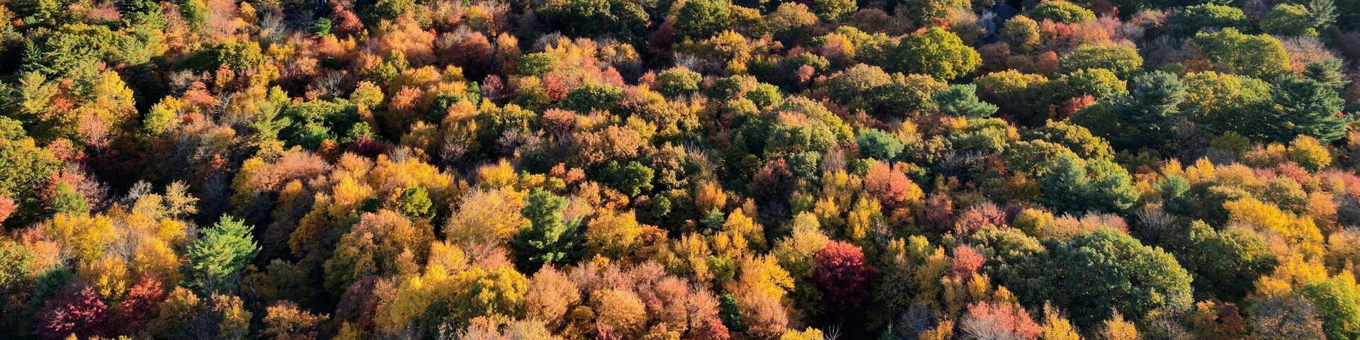 Autumn at Lake Harmony, PA
