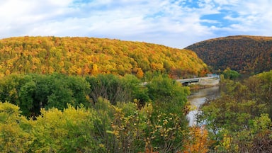 Delaware Water Gap panorama in Autumn
