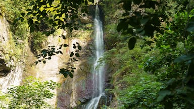 View of the waterfall in Makhuntseti, Adjara, Georgia