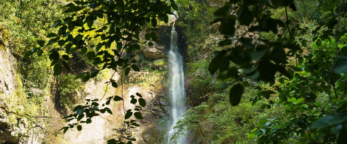 A waterfall cascading down a rocky cliff surrounded by lush greenery.