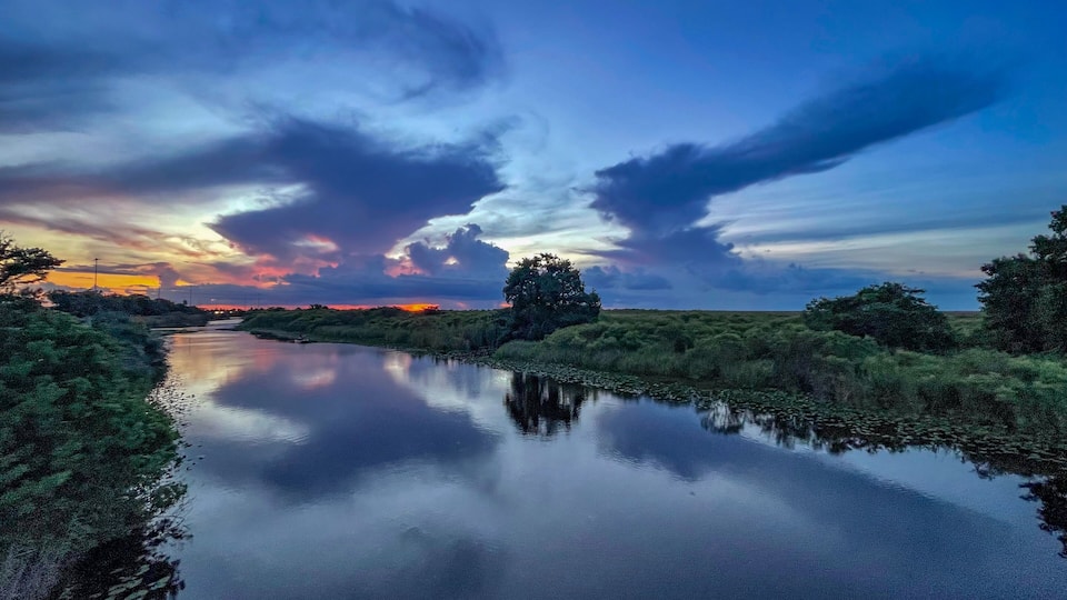 A calm river reflecting the sky, surrounded by dense greenery and a distant tree line.