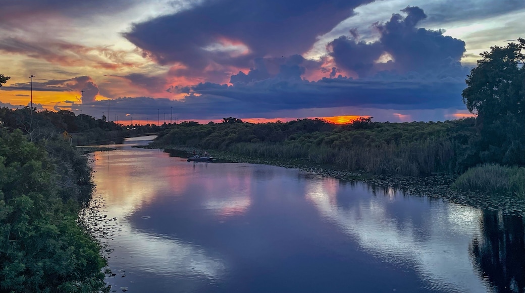 Swamp sunset and hurricane clouds