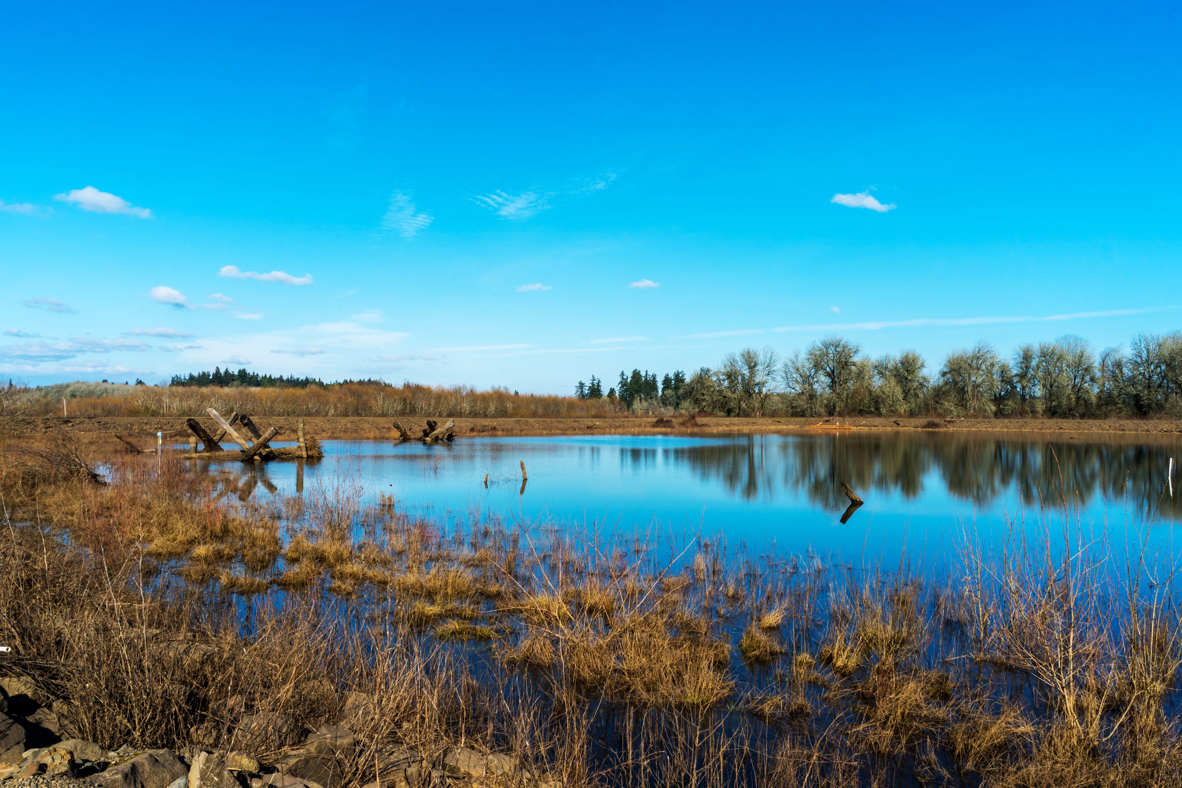 A calm lake with clear blue water, surrounded by dry grass and trees.