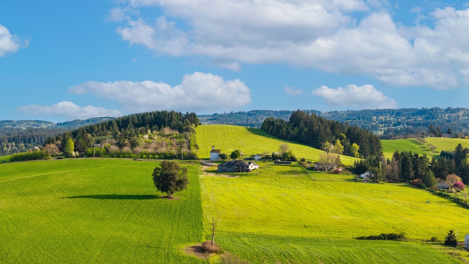 A rural landscape with rolling green fields, scattered trees, and a few houses.